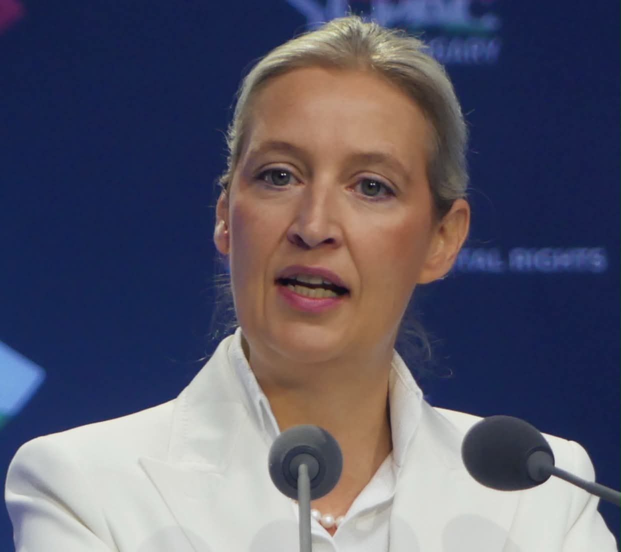 Noua realitate politică din Germania. Mirel Curea ironizează discursul despre „extrema dreaptă”