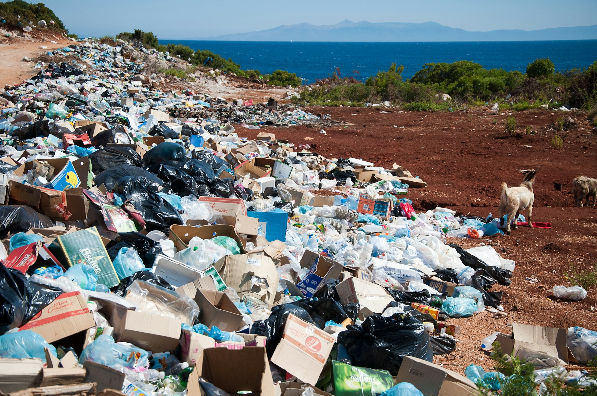 Planeta nu mai ține pasul cu deșeurile din plastic. 72 de milioane de tone rămân în afara sistemelor