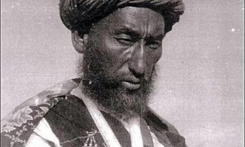 Basmacii, predecesorii mujahedinilor și talibanilor. De ce devine elevantă lupta împotriva bandelor din Turkistan