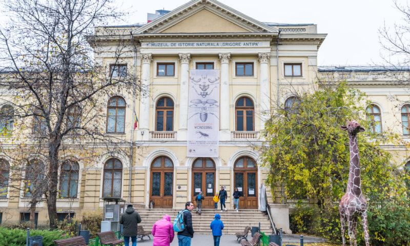 Triunghiul Muzeelor se lansează la București. Kiseleff devine promenadă culturală