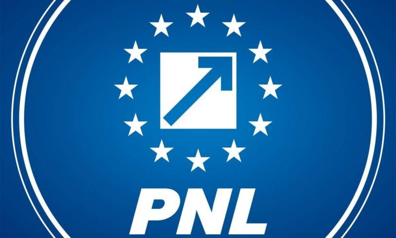 Reacție de la PNL în scandalul numirii premierului. Acuzații pentru conducerea PSD: „Argumente manipulatoare”