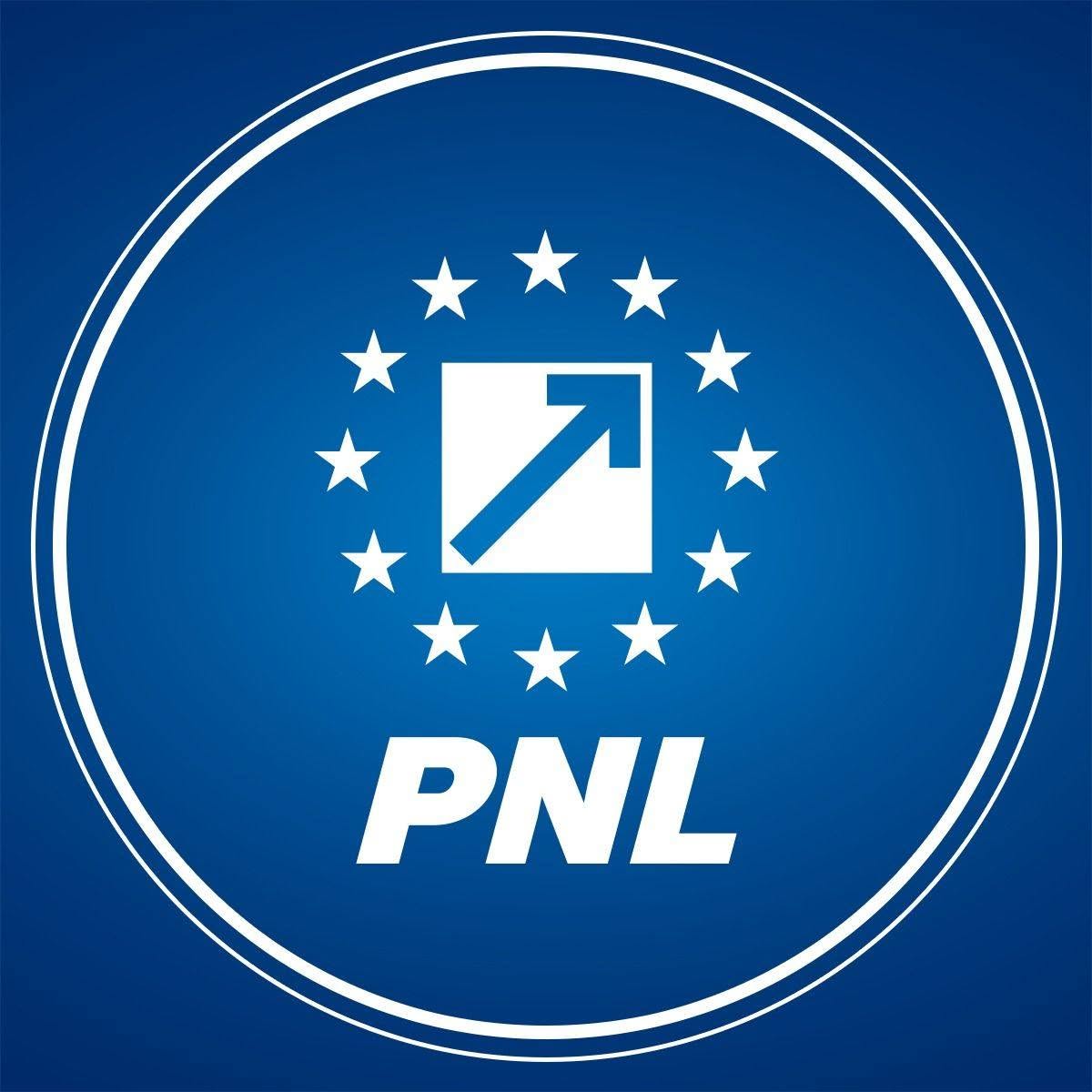 Reacție de la PNL în scandalul numirii premierului. Acuzații pentru conducerea PSD: „Argumente manipulatoare”