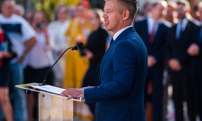 Ungaria sfidează decizia UE și acordă azil ucrainenilor apți de muncă: Anunțul premierului Peter Magyar