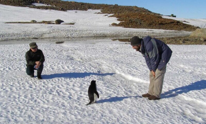 Horoscopul lui Dom’ Profesor,  7 septembrie 2026. Microbii din Antarctica