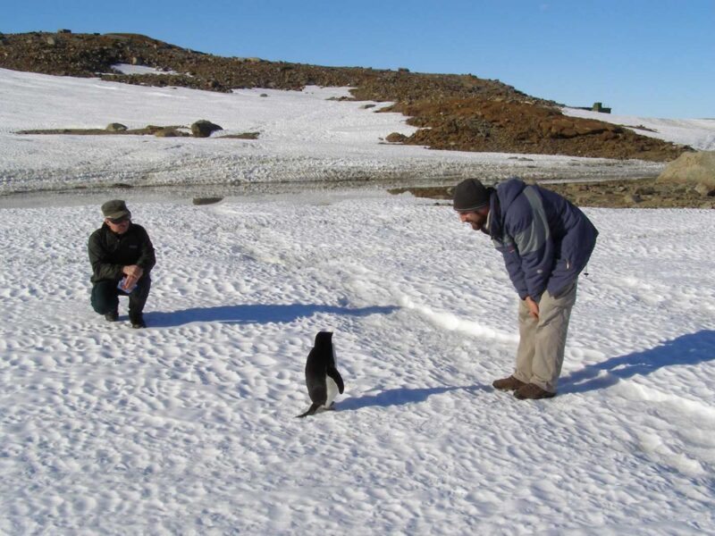Horoscopul lui Dom’ Profesor,  7 septembrie 2026. Microbii din Antarctica