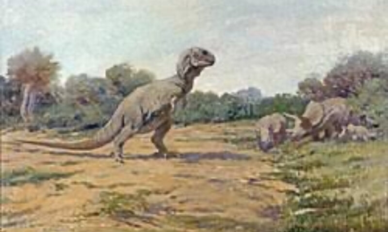 O descoperire rară oferă indicii despre mersul unui T-Rex adult. Urmele au rezistat milioane de ani