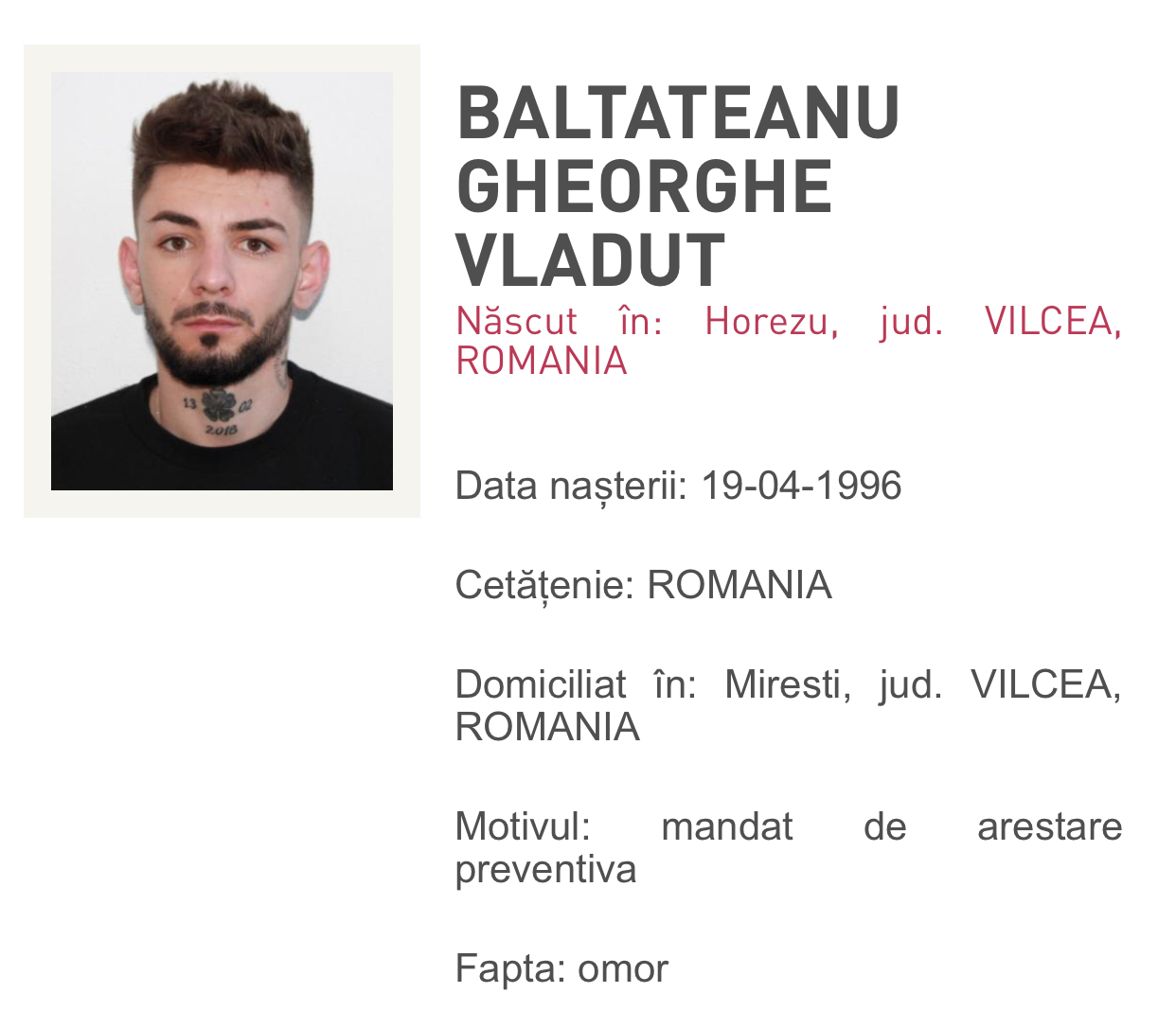 Vlad Bălțățeanu