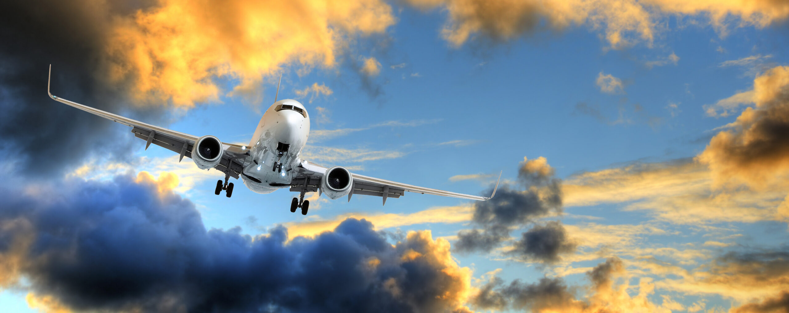 De ce aripile avionului se îndoaie în timpul zborului? Ce rol are flexibilitatea lor