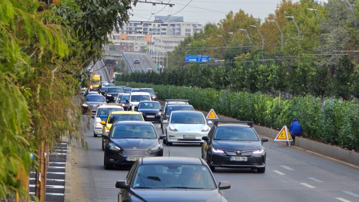 Calea Văcărești se înverzește: noi plantări în cadrul proiectului de regenerare urbană
