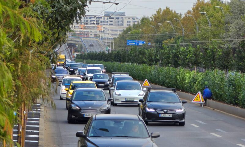 Calea Văcărești se înverzește: noi plantări în cadrul proiectului de regenerare urbană