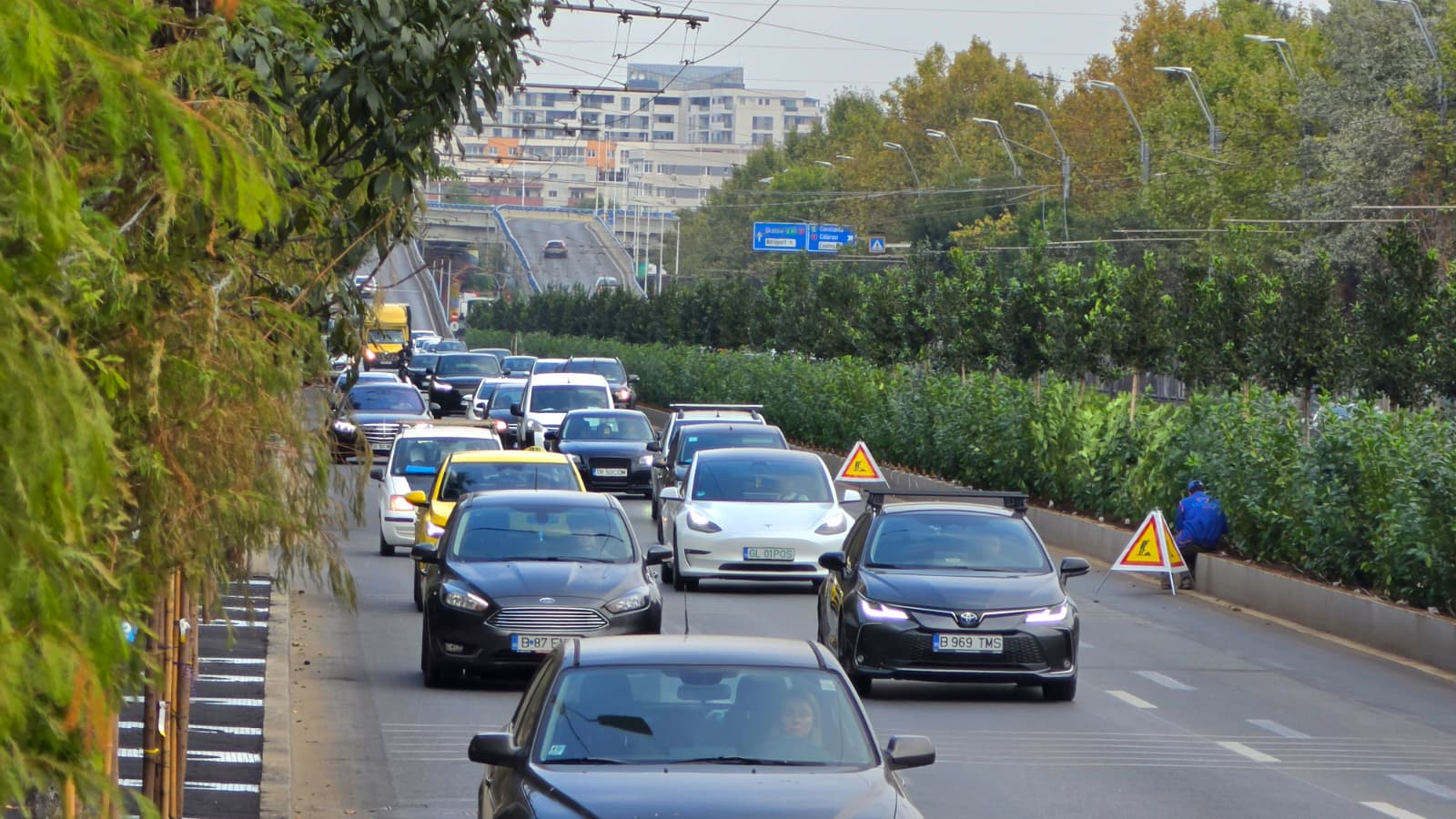Calea Văcărești se înverzește: noi plantări în cadrul proiectului de regenerare urbană