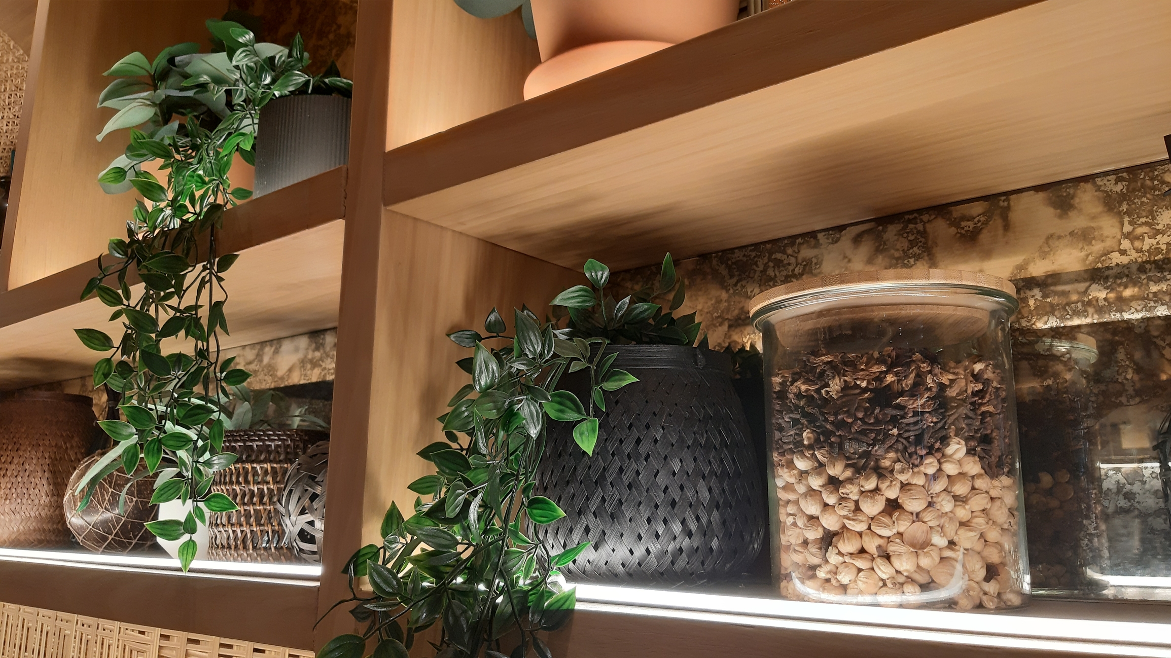 plante apartament