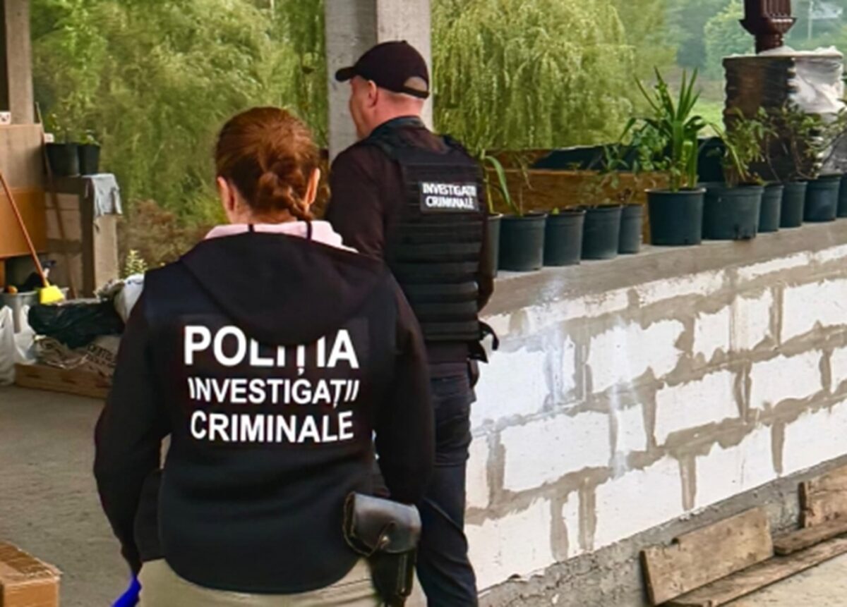 Percheziții la Botoșani într-un dosar privind activități religioase ilegale