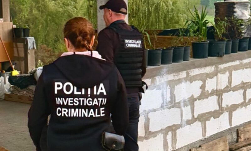 Percheziții la Botoșani într-un dosar privind activități religioase ilegale