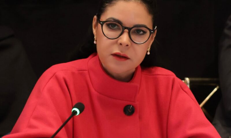 Ana Birchall dă în judecată CSM. Acuzații grave la adresa Secției pentru Judecători