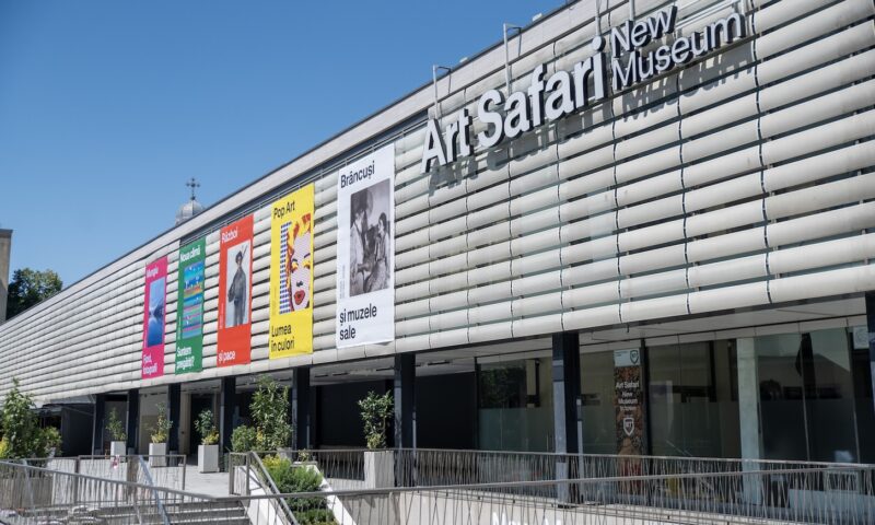 Diana Nicolaie preia funcția de CEO al Art Safari New Museum