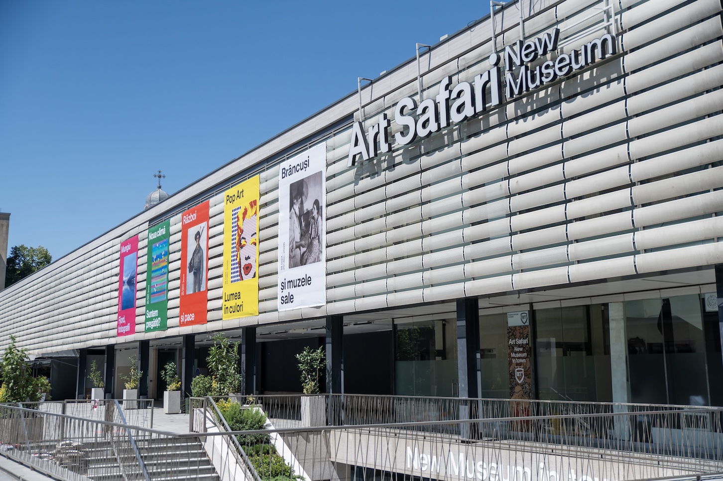 Diana Nicolaie preia funcția de CEO al Art Safari New Museum