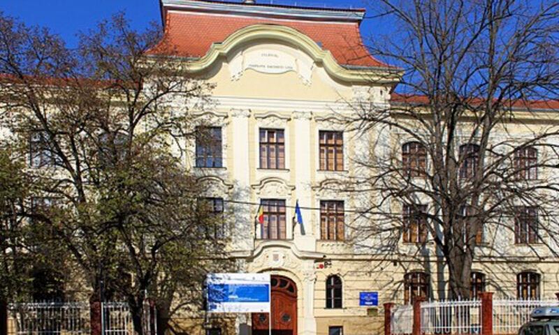 A promovat prima probă pentru directorii de școli, dar este dispusă să se retragă. Directoarea Colegiului Loga din Timișoara spune că s-a simțit umilită