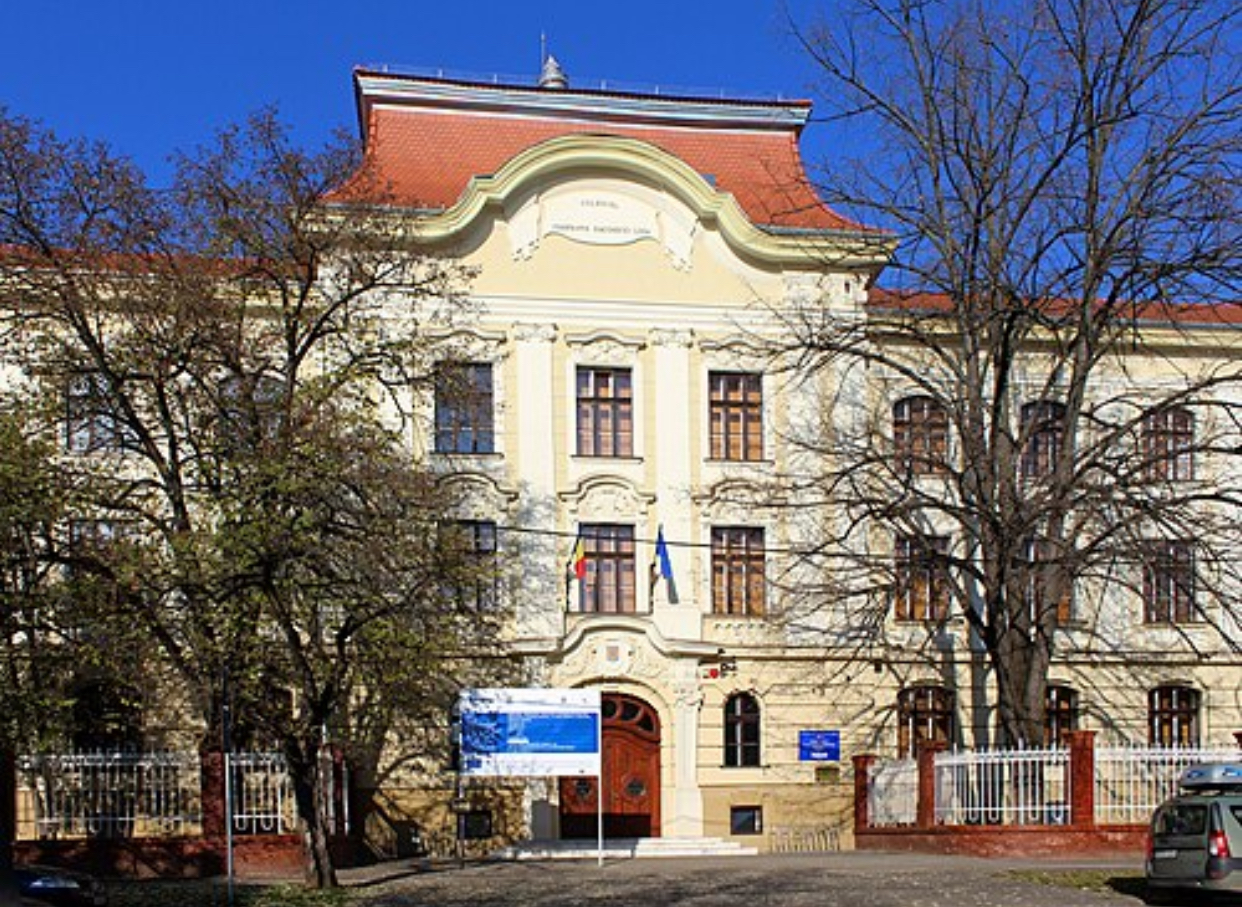 A promovat prima probă pentru directorii de școli, dar este dispusă să se retragă. Directoarea Colegiului Loga din Timișoara spune că s-a simțit umilită
