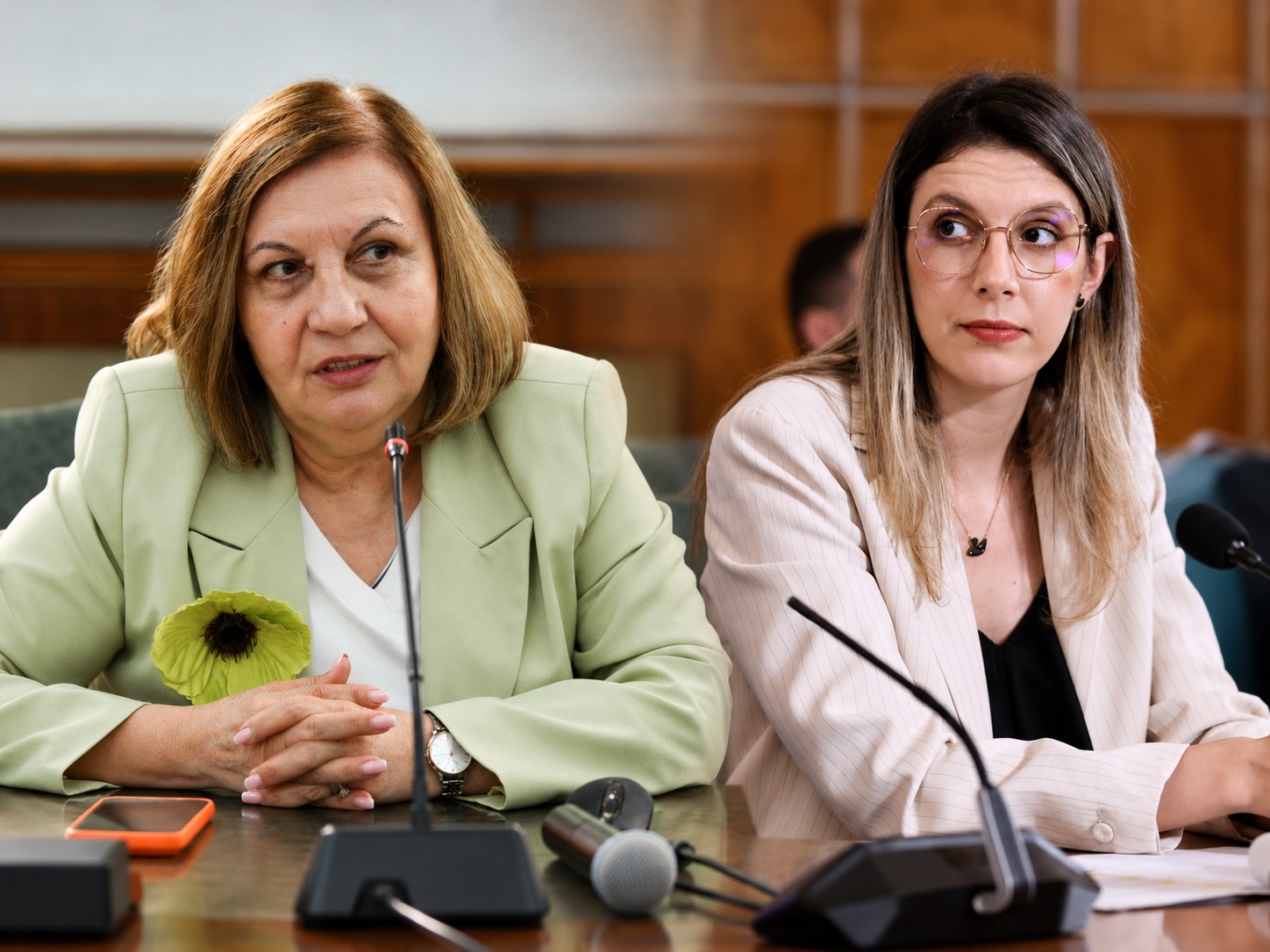 Diana Buzoianu o contrazice pe Elena Mateescu. Noi informații despre achizițiile de la ANM