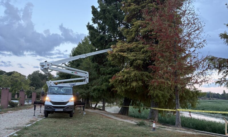Peste 1.800 de arbori, evaluați în Herăstrău. Ce schimbări pregătesc autoritățile pentru a salva copacii sănătoși