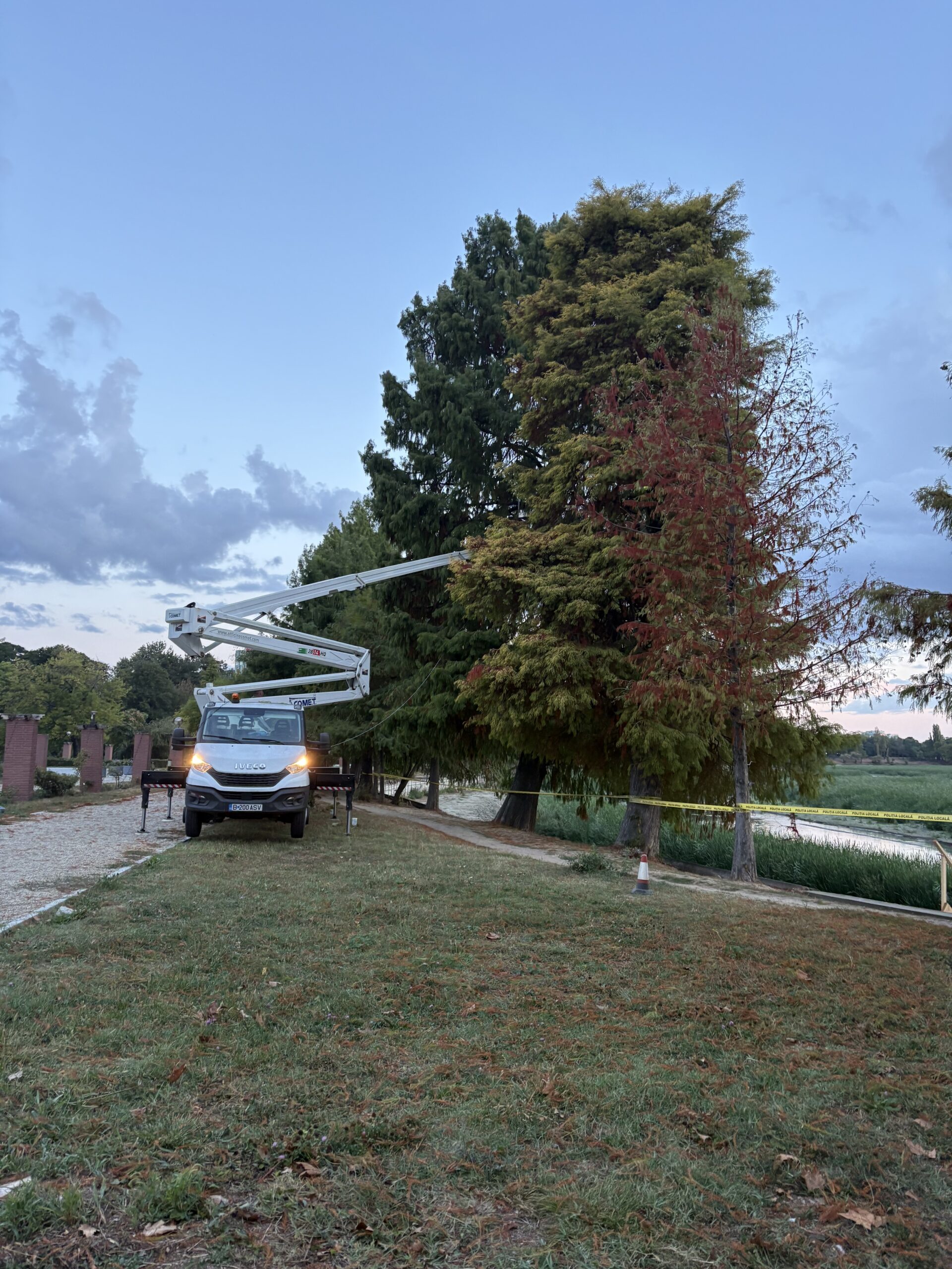 Peste 1.800 de arbori, evaluați în Herăstrău. Ce schimbări pregătesc autoritățile pentru a salva copacii sănătoși