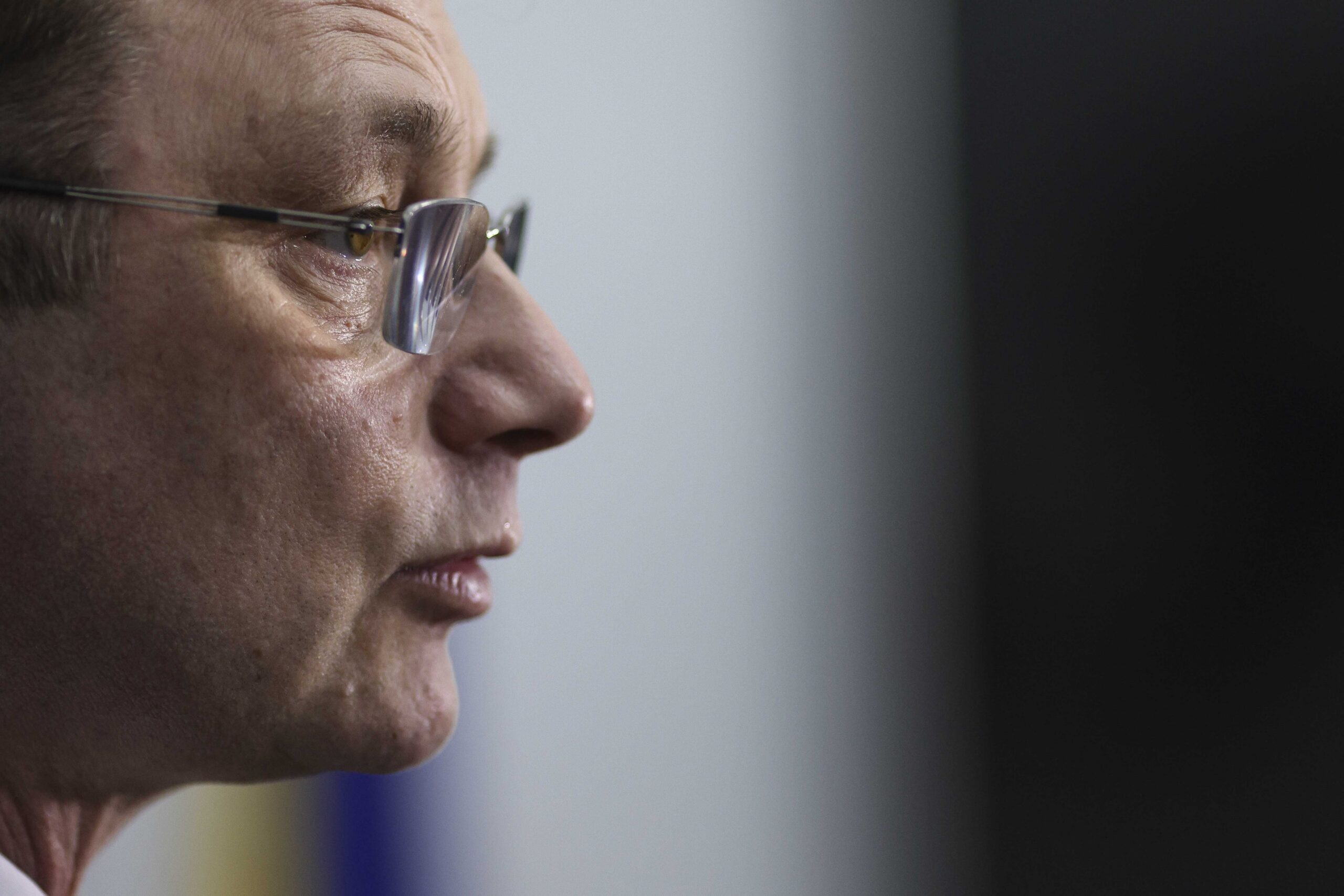 Luca Niculescu, criticat pentru legăturile cu Franța. Adrian Severin spune că România are nevoie de un premier cu alt profil