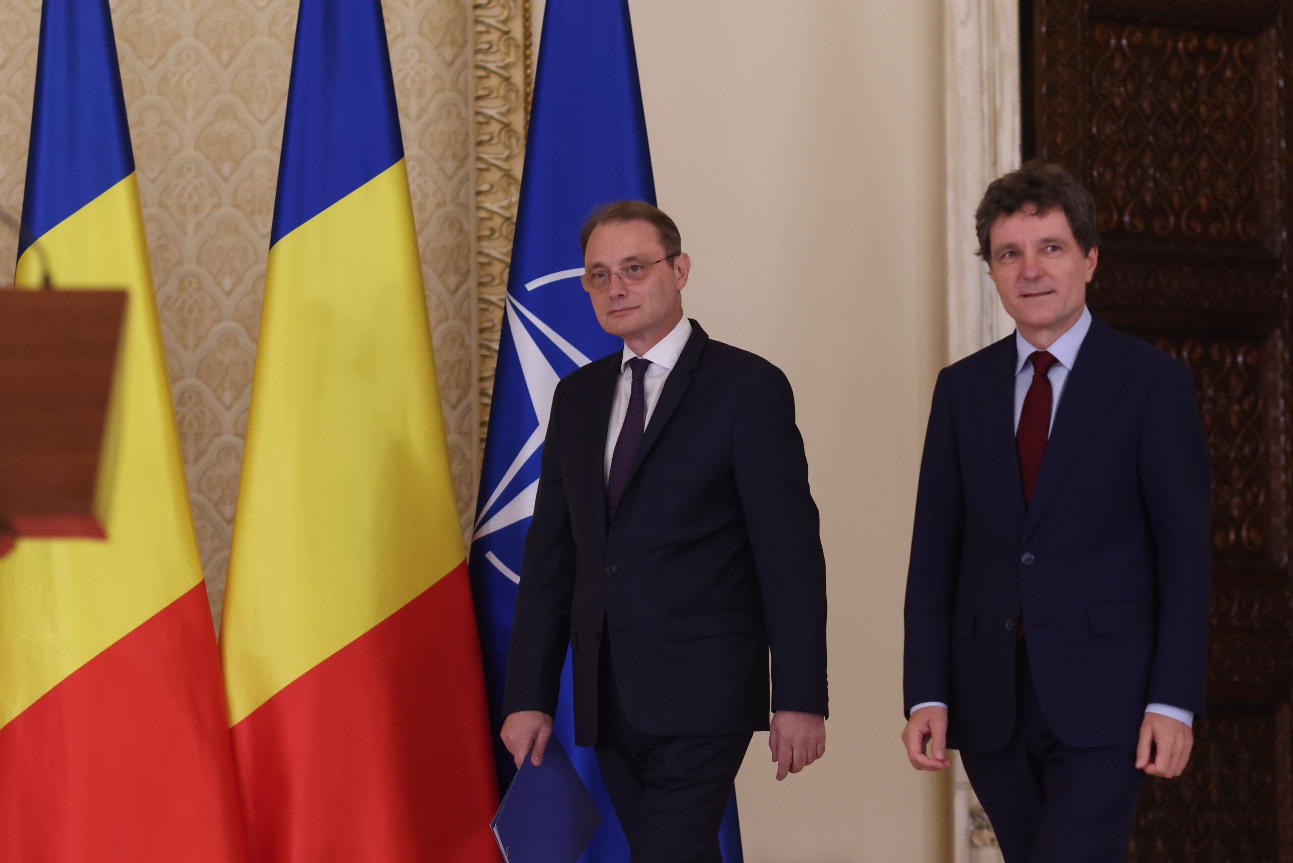 Luca Niculescu și Nicușor Dan
