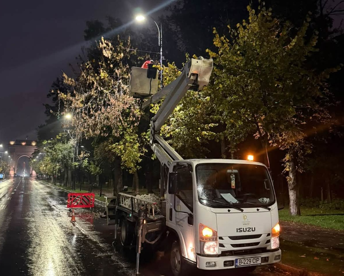 Montare beculețe de Crăciun