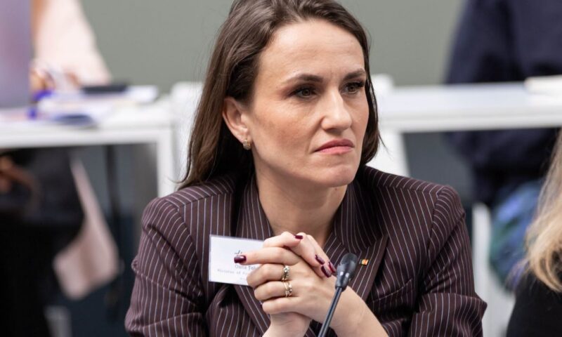 Oana Țoiu, reacție după acuzațiile privind dreptul de veto. Ce prevede documentul controversat