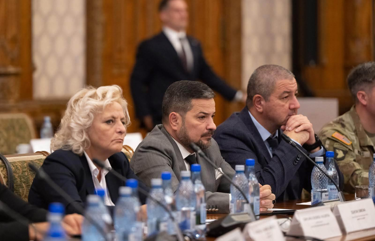 Vlad Bontea
