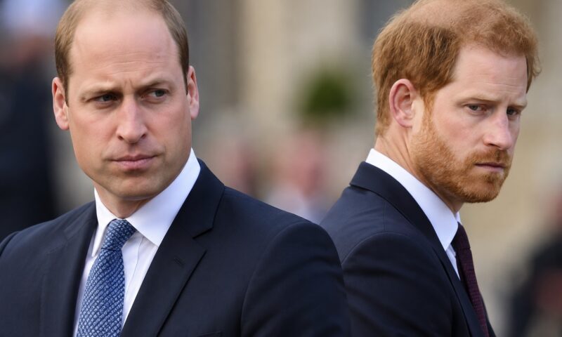 Prințul Harry și William, tot mai diferiți. Un fost oficial regal se îndoiește de reconciliere
