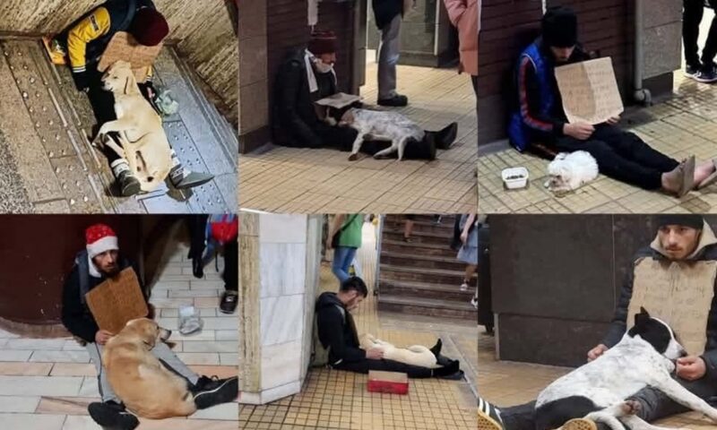 După merdenele și „supat”, bucureștenii au o nouă preocupare: cerșetorul cu câini