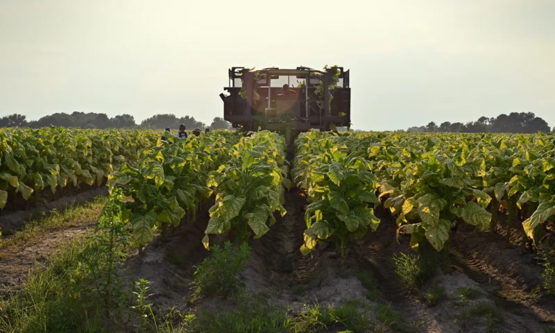 Philip Morris International publică primul raport al Grupului operativ pentru raportarea informațiilor financiare legate de natură