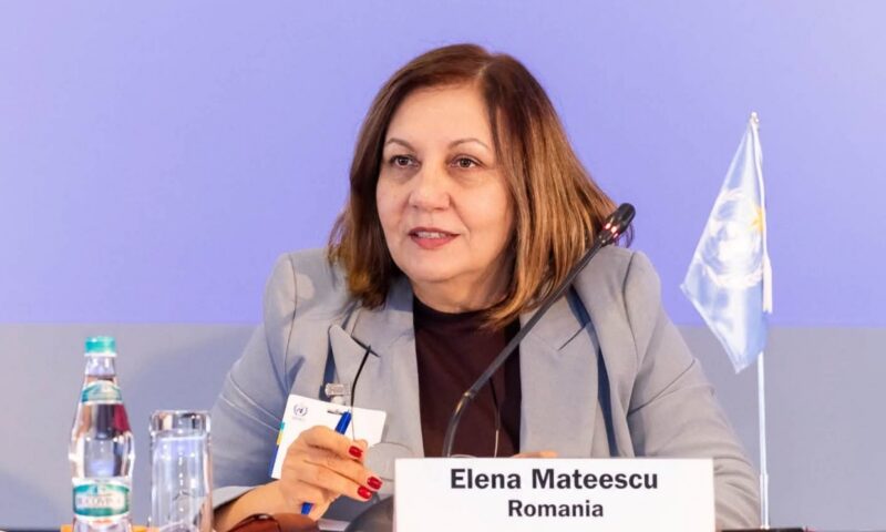 Parfumuri, poșete și pantofi cu toc, pe cardul ANM. Elena Mateescu anunță că a sesizat Poliția