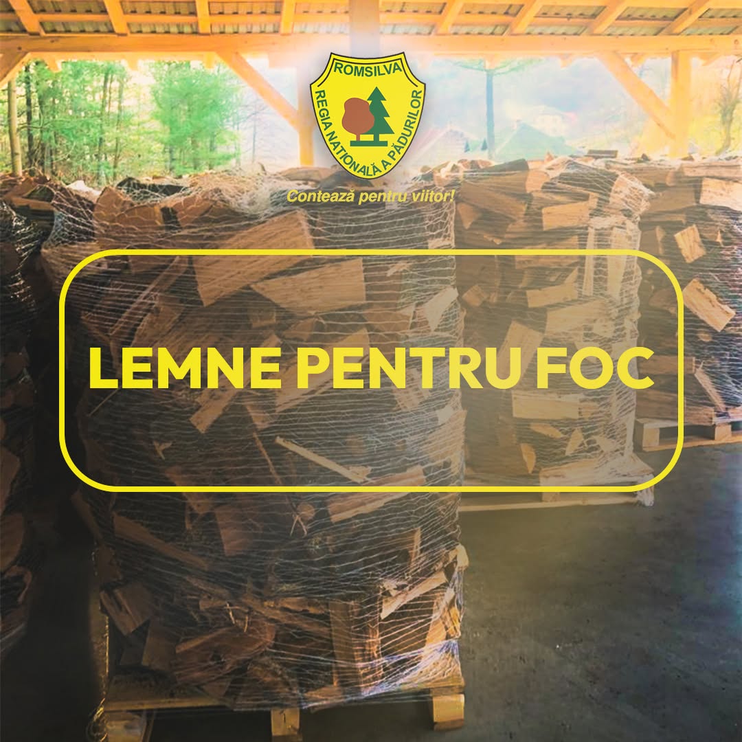 Lemne