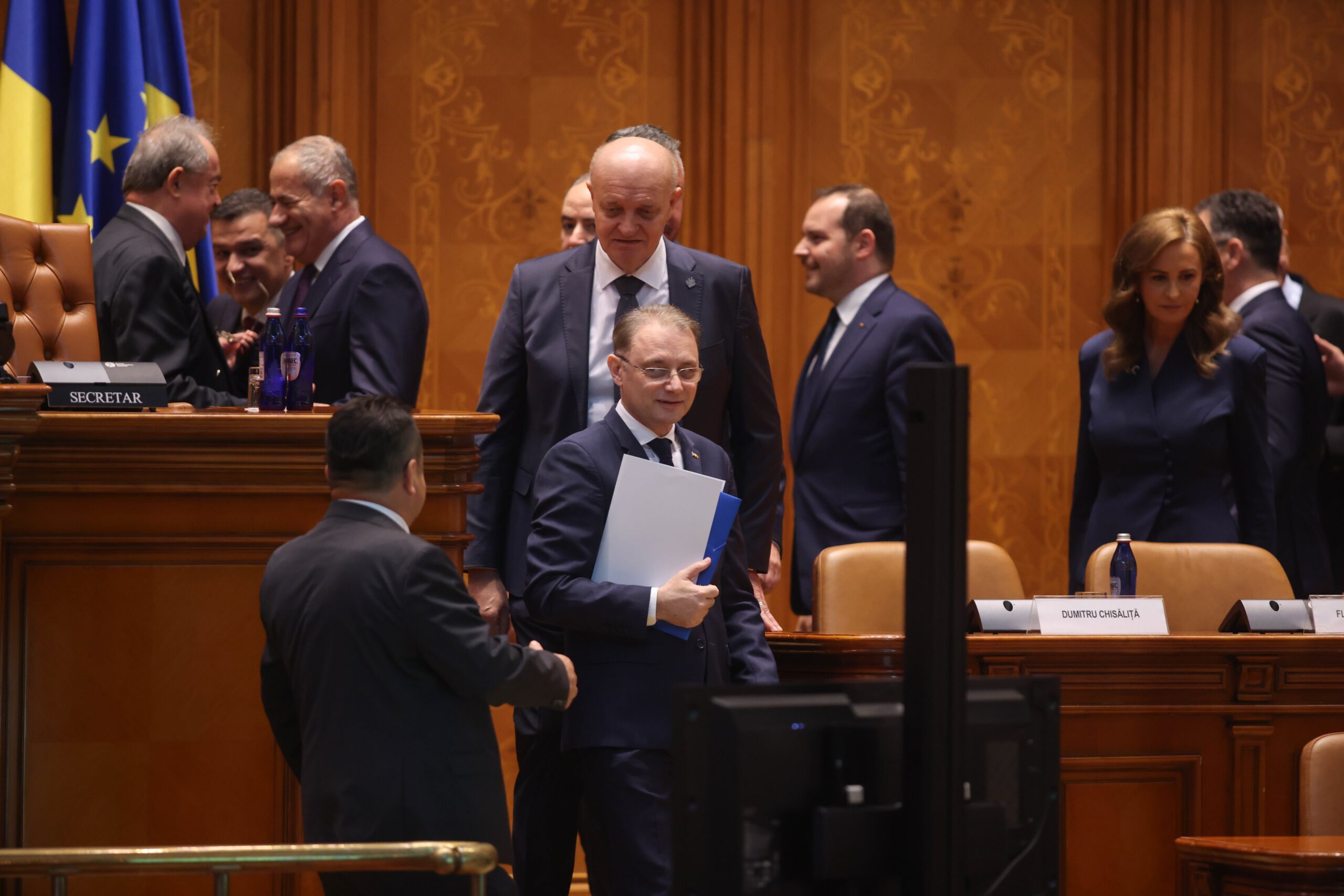 niculescu parlament