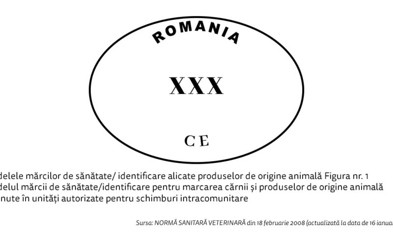 Carnea de pui și Salmonella